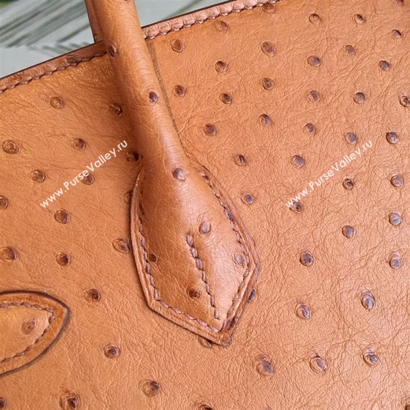 Hermes birkin 184454