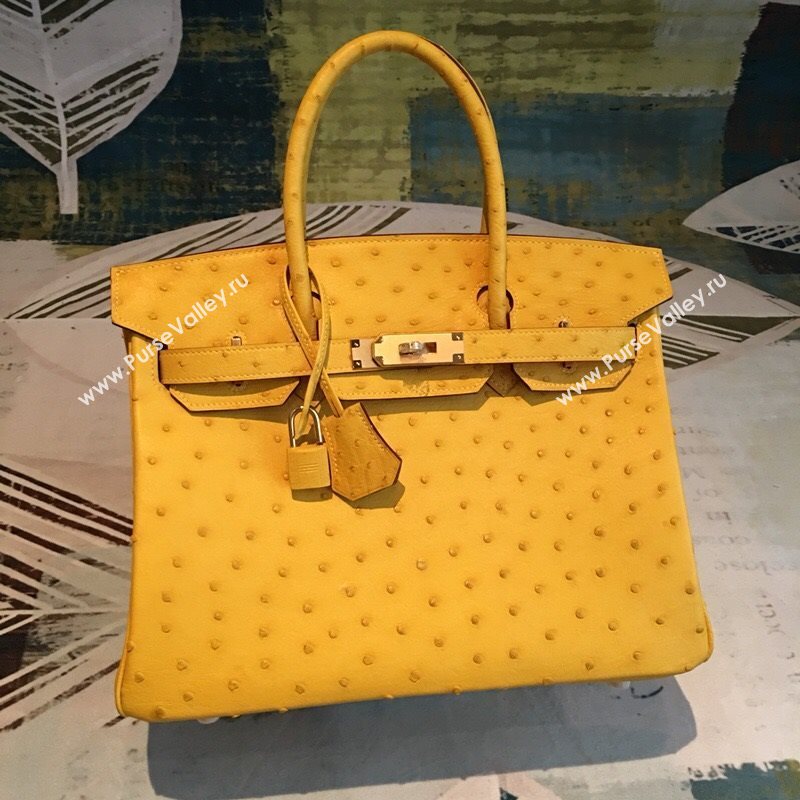 Hermes birkin 184439