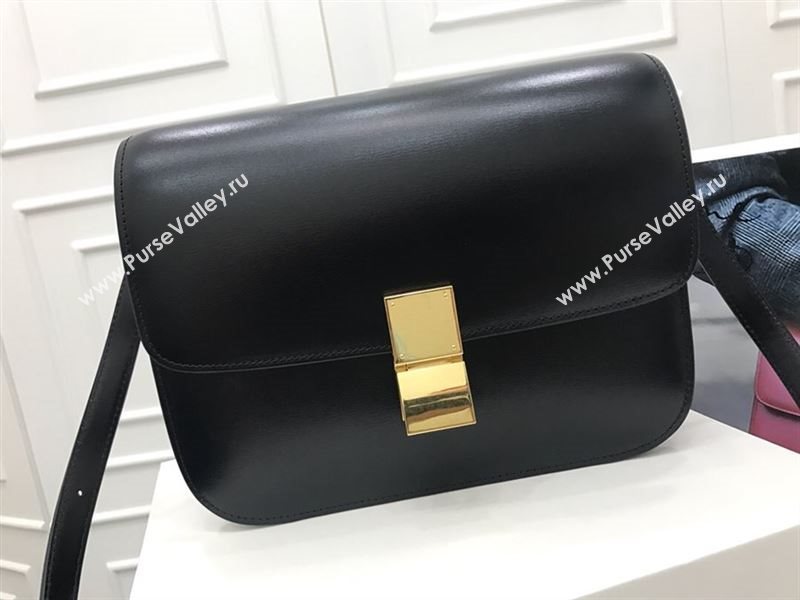 Celine Box Bag 175298