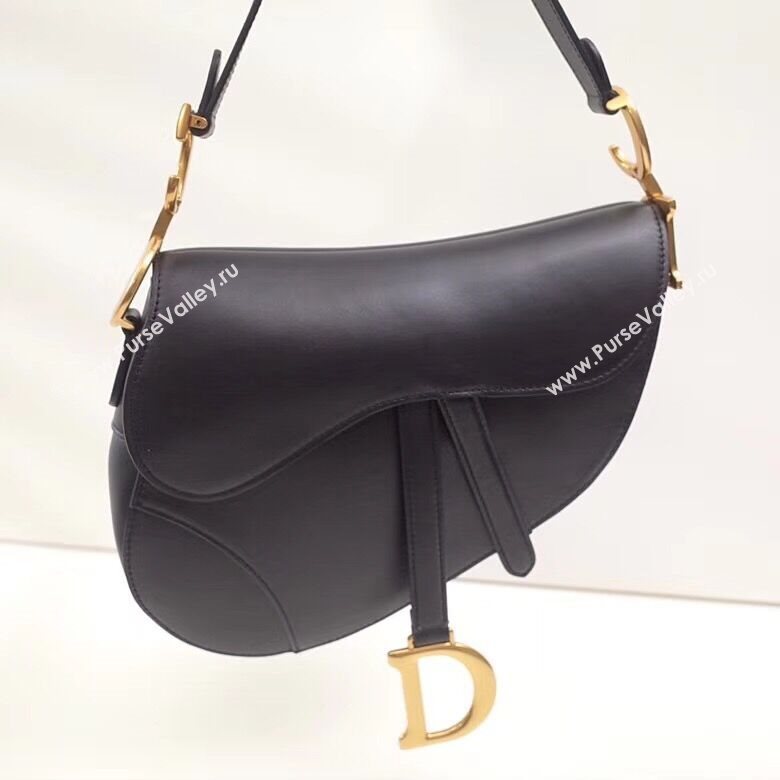 Dior Saddle Bag 161336