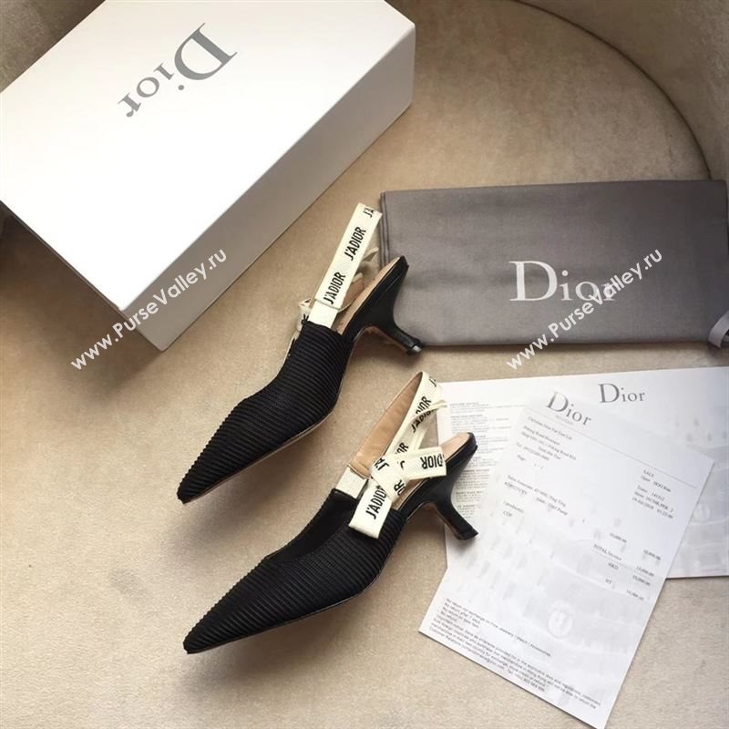 Dior Canvas Slingback With Heel 10cm 190550