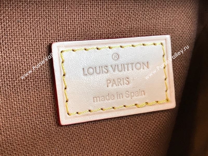 LOUIS VUITTON Pochette Gange Waist Bag 206188