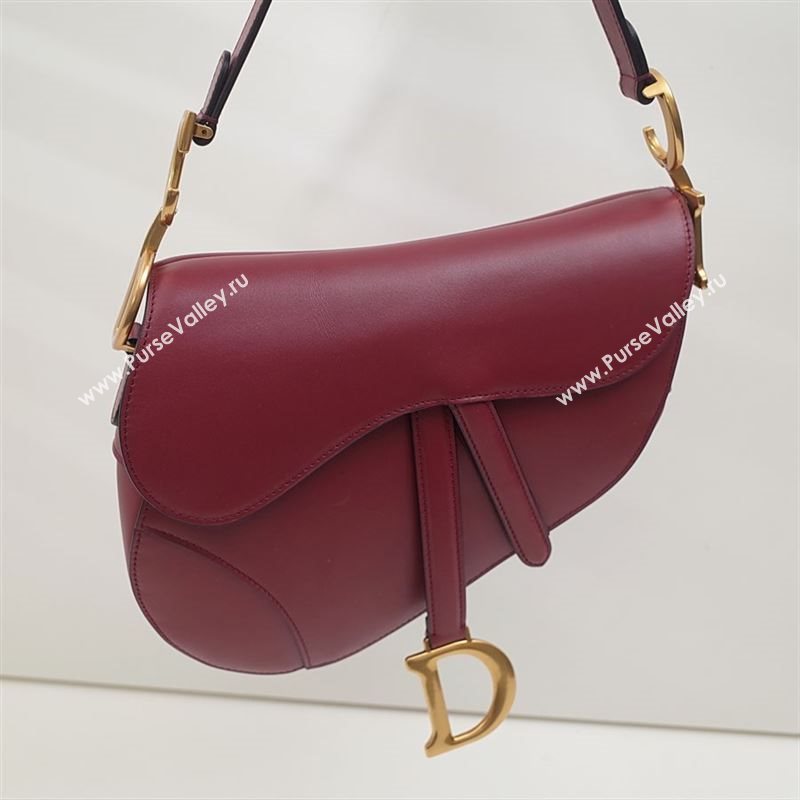 Dior Saddle Bag 205559