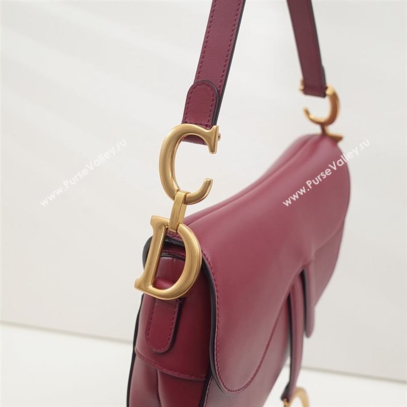 Dior Saddle Bag 205559