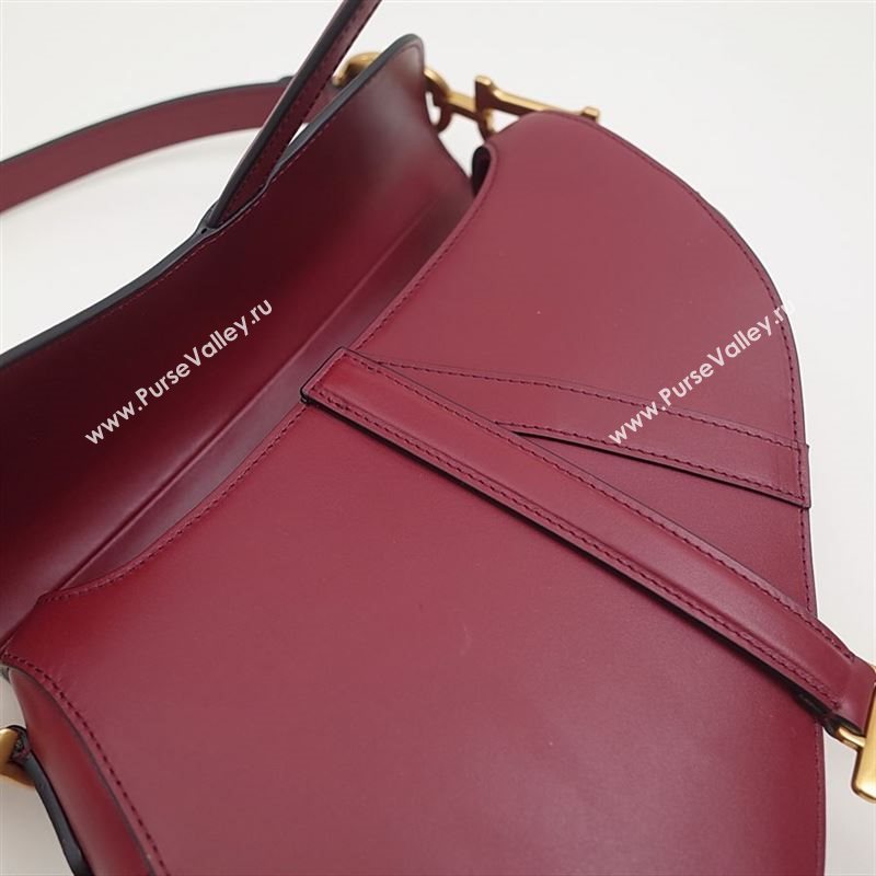 Dior Saddle Bag 205559