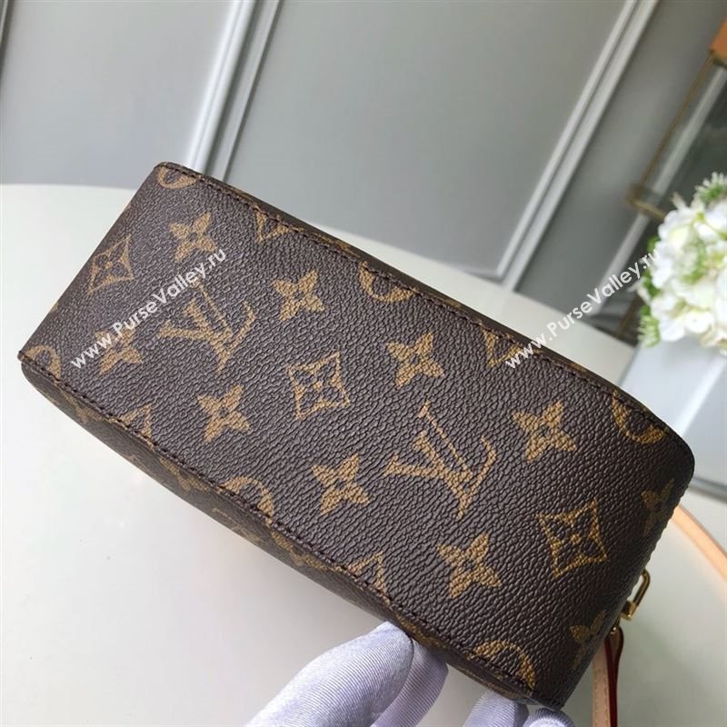 LOUIS VUITTON Nano Noe 219230