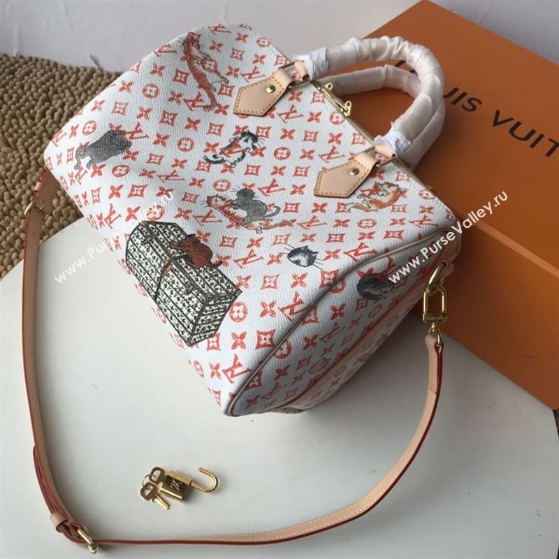 Louis Vuitton Speedy 30 227458