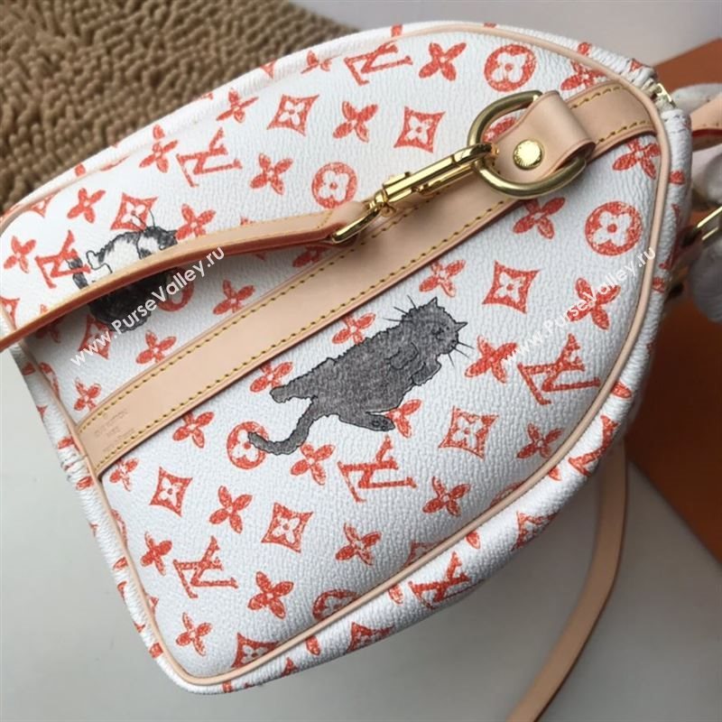 Louis Vuitton Speedy 30 227458