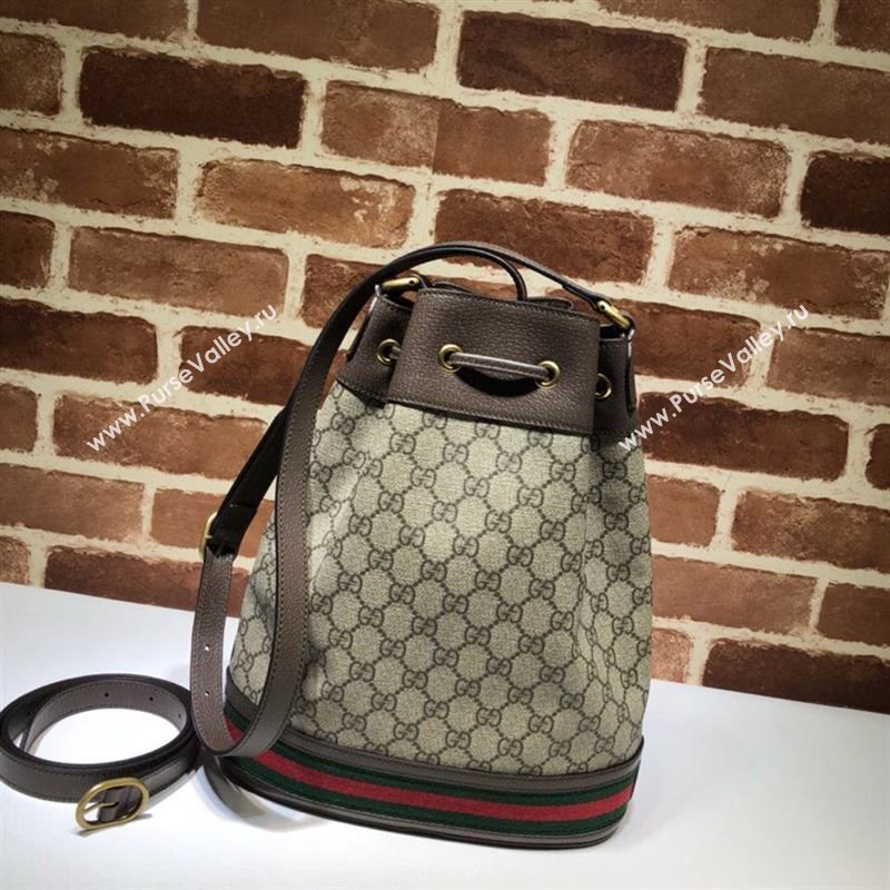 Gucci Bucket 229932