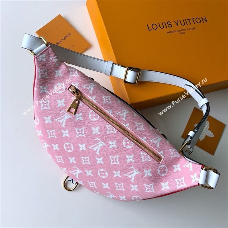 Louis Vuitton BUMBAG 232840