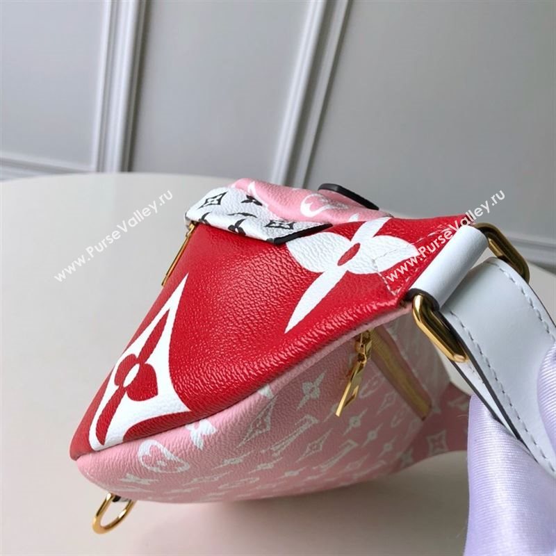 Louis Vuitton BUMBAG 232840