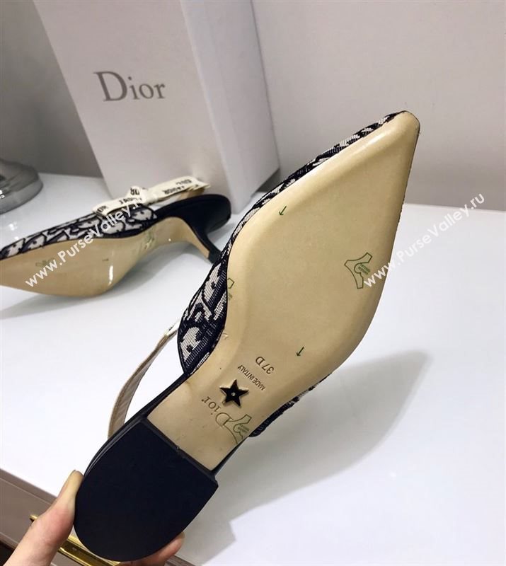 Dior Shoes 240605