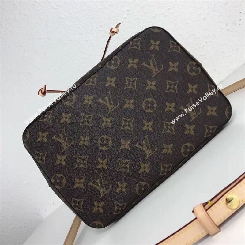 Louis Vuitton NEO NOE 241128