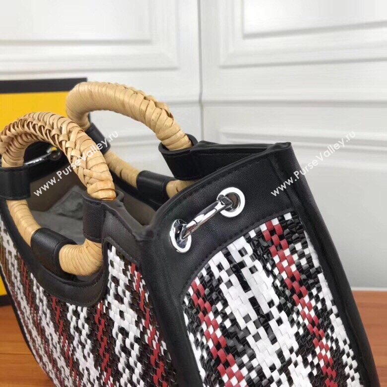 Fendi Kani Bag 245516