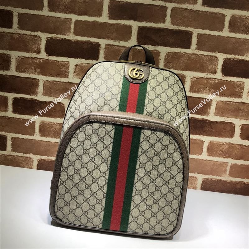 Gucci Ophidia Backpack 247277