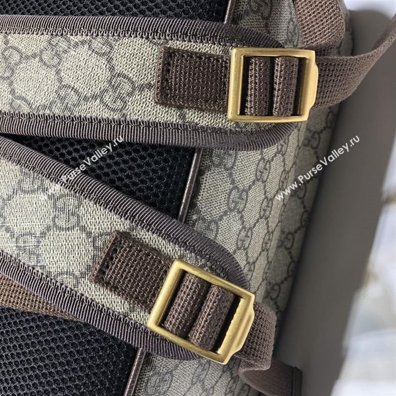 Gucci Ophidia Backpack 247277