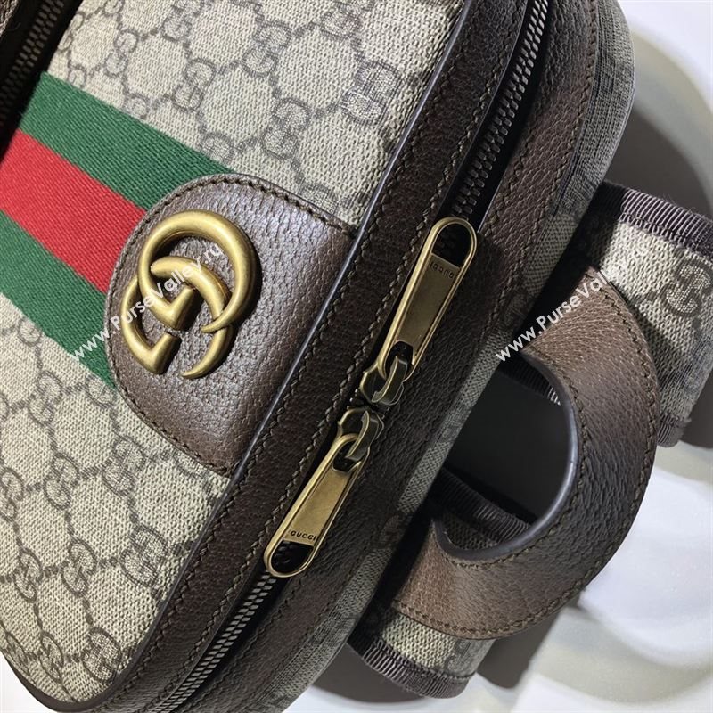 Gucci Ophidia Backpack 247277