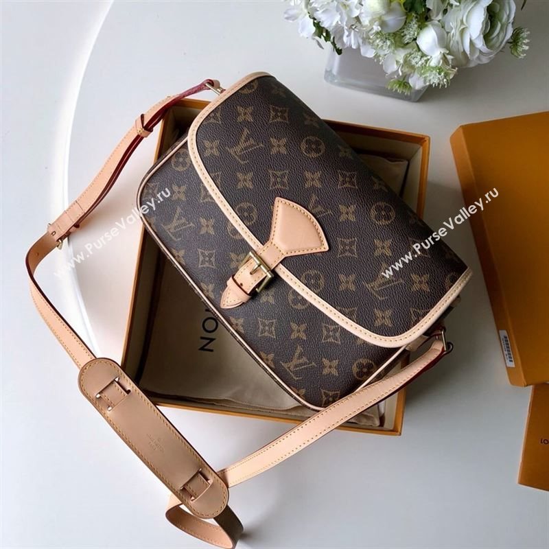 Louis Vuitton Sologne Shoulder Bag 251100