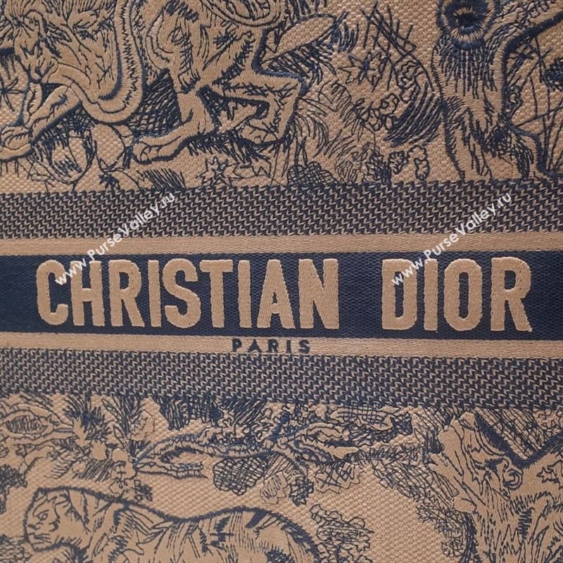 DIOR BOOK TOTE BAG 253980
