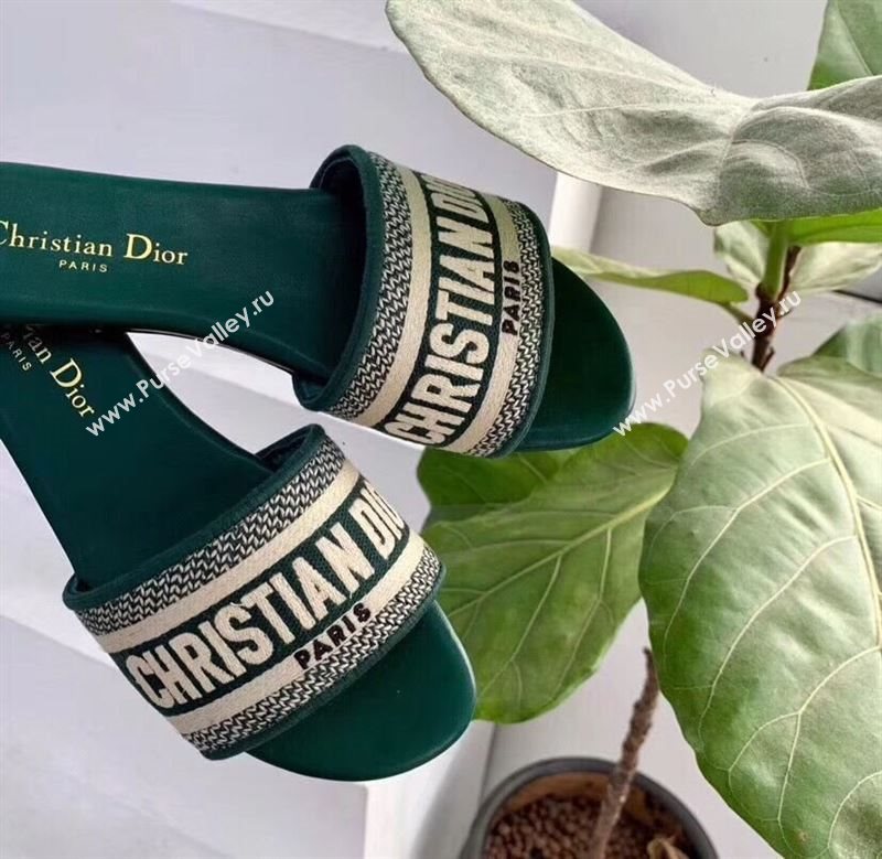 Dior slippers 255133
