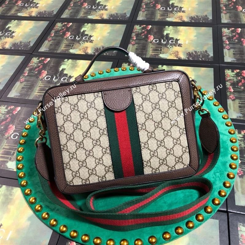 Gucci Ophidia Bag 262777