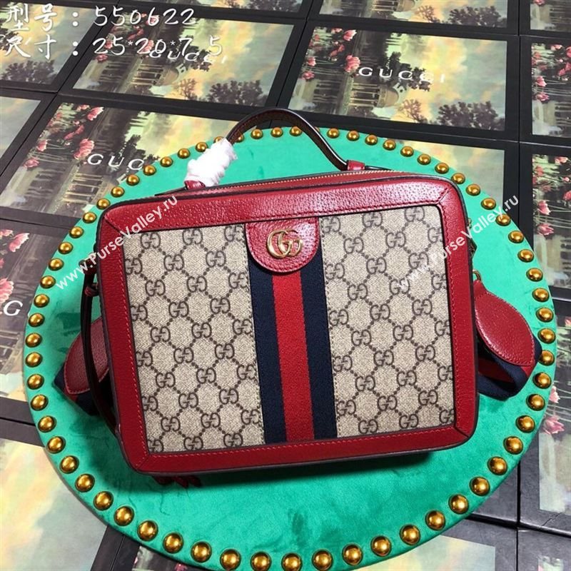 Gucci Ophidia Bag 262767