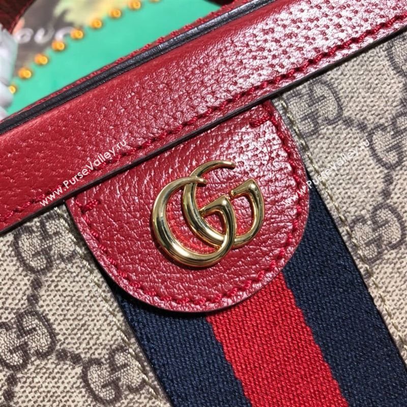 Gucci Ophidia Bag 262767