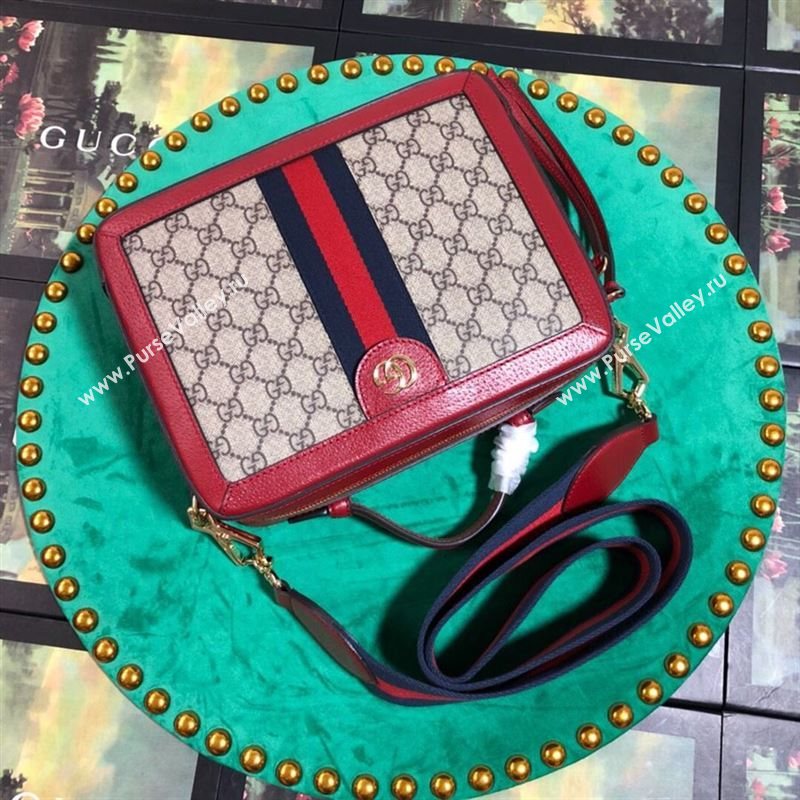 Gucci Ophidia Bag 262767