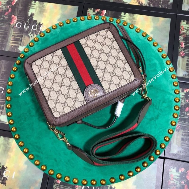 Gucci Ophidia Bag 262777