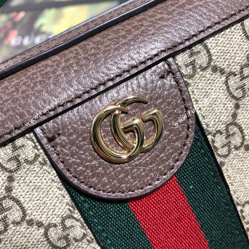 Gucci Ophidia Bag 262777