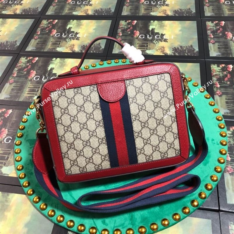 Gucci Ophidia Bag 262767