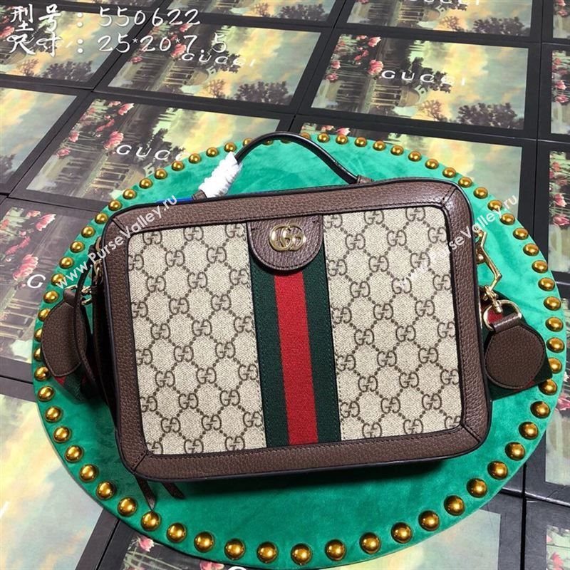 Gucci Ophidia Bag 262777