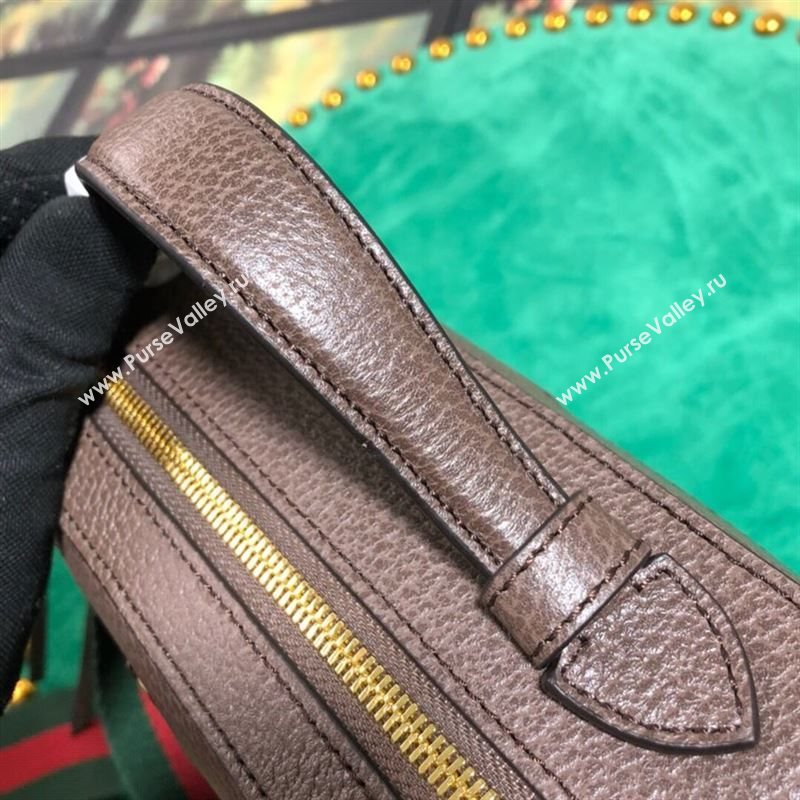 Gucci Ophidia Bag 262777