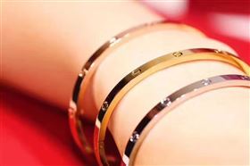 Cartier bracelet 3893