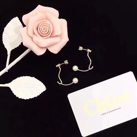 Chloe earrings 3897