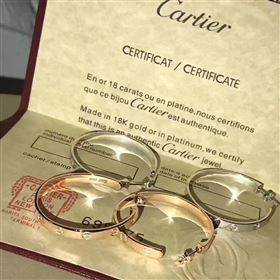 Cartier earrings 3801