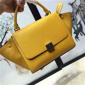 Celine Trapeze yellow bag 4495