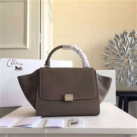 Celine Trapeze gray bag 4496