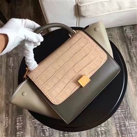 Celine tri-colors tan v Trapeze gray bag 4510