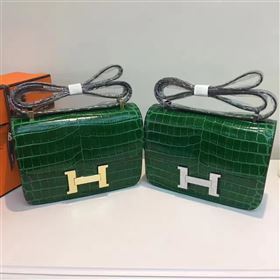 Hermes crocodile Constance green paint bag 5056