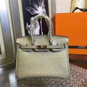 Hermes ostrich gray Birkin bag 5150