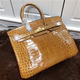 Hermes crocodile Birkin tan purple bag 5249