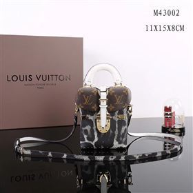 LV Louis Vuitton M43002 Monogram Camera Box Bag Leather Handbag Gray