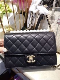 Chanel Shoulder bag 43880