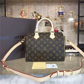 LOUIS VUITTON SPEEDY 25 10670