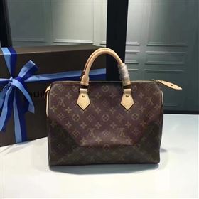 LOUIS VUITTON SPEEDY 30 113297