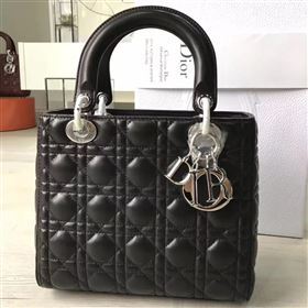 Lady Dior 130595