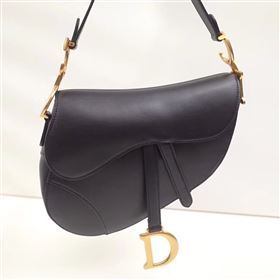 Dior Saddle Bag 161336