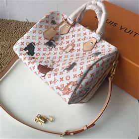 Louis Vuitton Speedy 30 227458