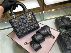 Lady Dior 242783